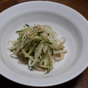 簡単！電子レンジもやしとキュウリの中華サラダ♪